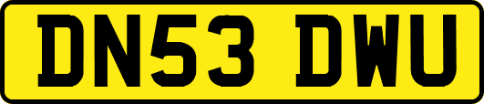 DN53DWU