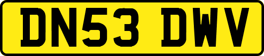 DN53DWV