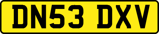 DN53DXV