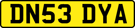 DN53DYA