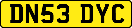 DN53DYC