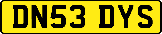 DN53DYS