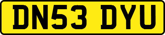 DN53DYU