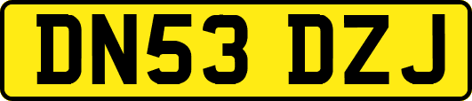 DN53DZJ