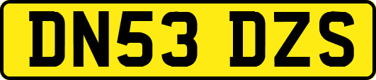 DN53DZS