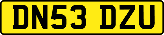 DN53DZU