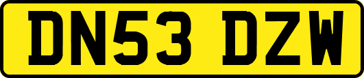 DN53DZW
