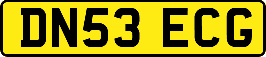 DN53ECG