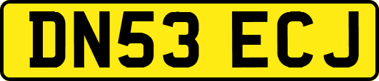 DN53ECJ