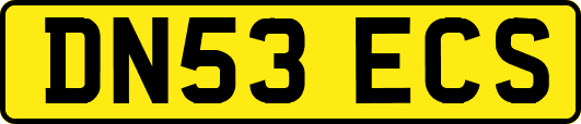 DN53ECS