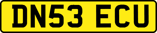 DN53ECU