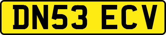 DN53ECV