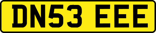 DN53EEE