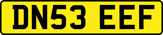 DN53EEF