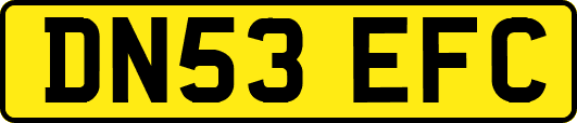 DN53EFC