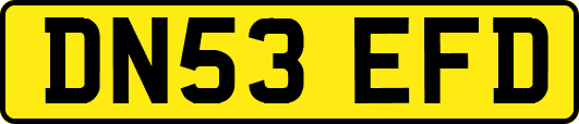 DN53EFD