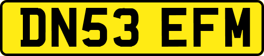 DN53EFM