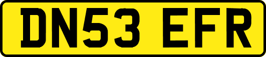 DN53EFR