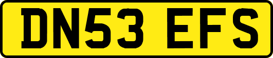 DN53EFS