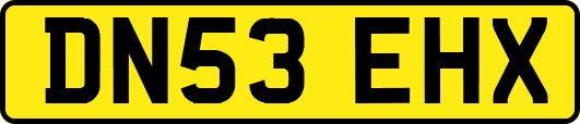 DN53EHX