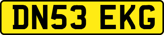 DN53EKG