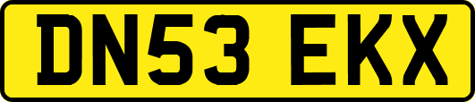 DN53EKX
