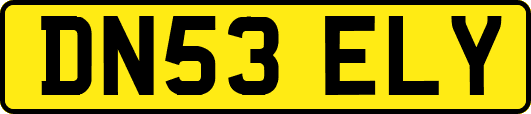 DN53ELY