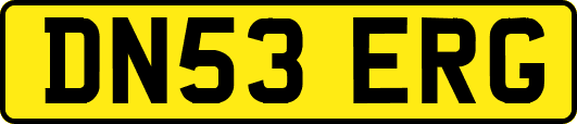 DN53ERG