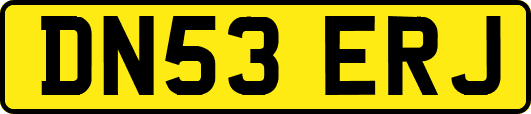 DN53ERJ
