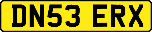 DN53ERX