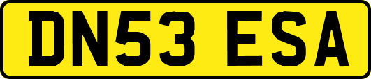 DN53ESA