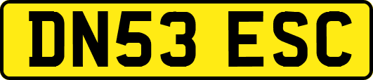 DN53ESC