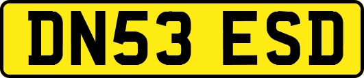 DN53ESD