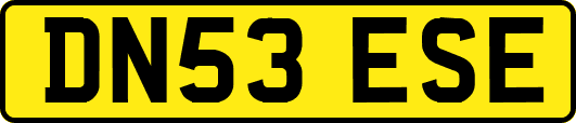 DN53ESE