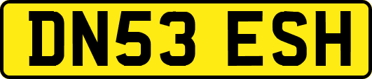 DN53ESH