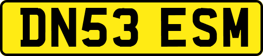 DN53ESM