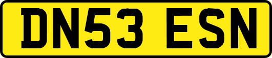 DN53ESN