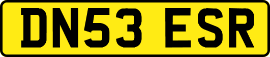 DN53ESR