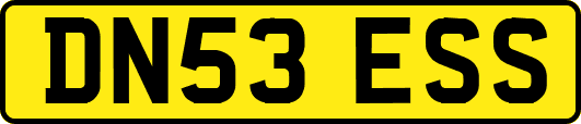 DN53ESS