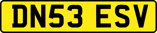 DN53ESV