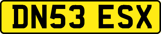 DN53ESX