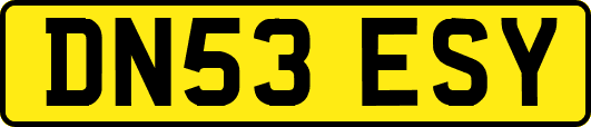 DN53ESY