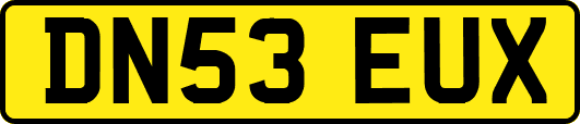 DN53EUX