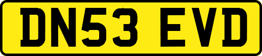 DN53EVD