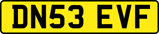 DN53EVF