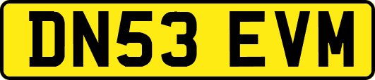DN53EVM