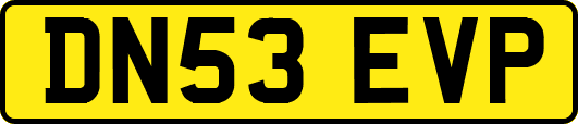 DN53EVP