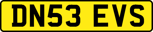 DN53EVS