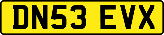 DN53EVX