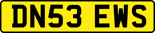 DN53EWS